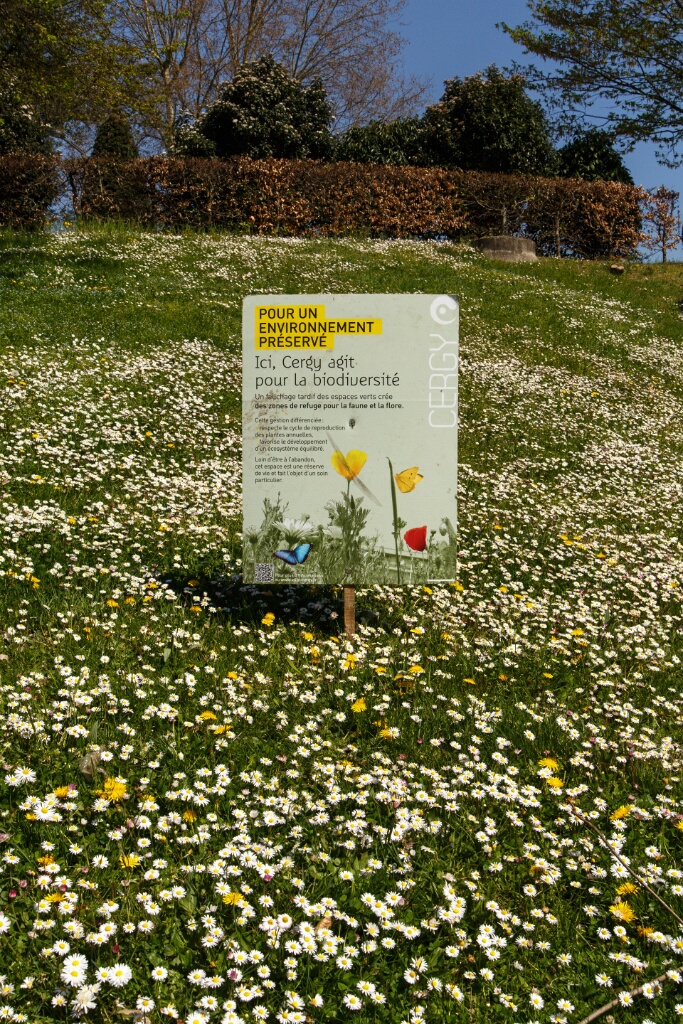 2013-04-25-125329-ville-fleurs-OK