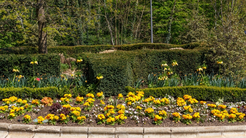 2013-04-25-152033-ville-fleurs-OK