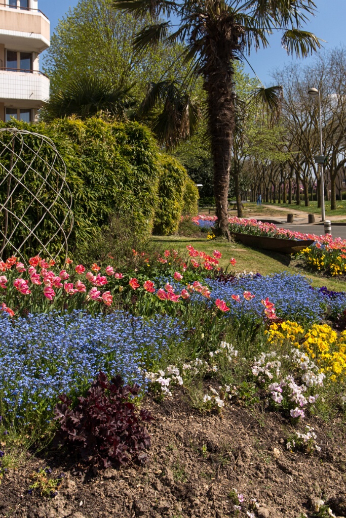 2013-04-25-155100-ville-fleurs-OK