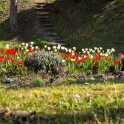 2013-04-24-111526-ville-fleurs-OK