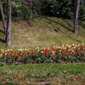 2013-04-24-111554-ville-fleurs-OK