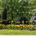 2013-04-25-124631-ville-fleurs-OK
