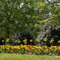 2013-04-25-124646-ville-fleurs-OK