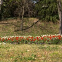 2013-04-25-145214-ville-fleurs-OK