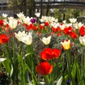 Jardin-ville