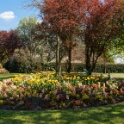 2013-04-25-151256-ville-fleurs-OK