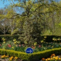 2013-04-25-152225-ville-fleurs-OK