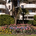 2013-04-25-155031-ville-fleurs-OK