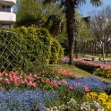 2013-04-25-155100-ville-fleurs-OK
