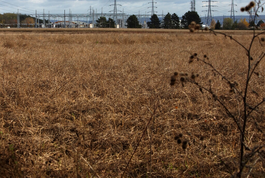 2010-11-10-124334