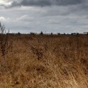 2010-11-10-120300