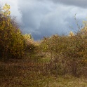 2010-11-10-124513