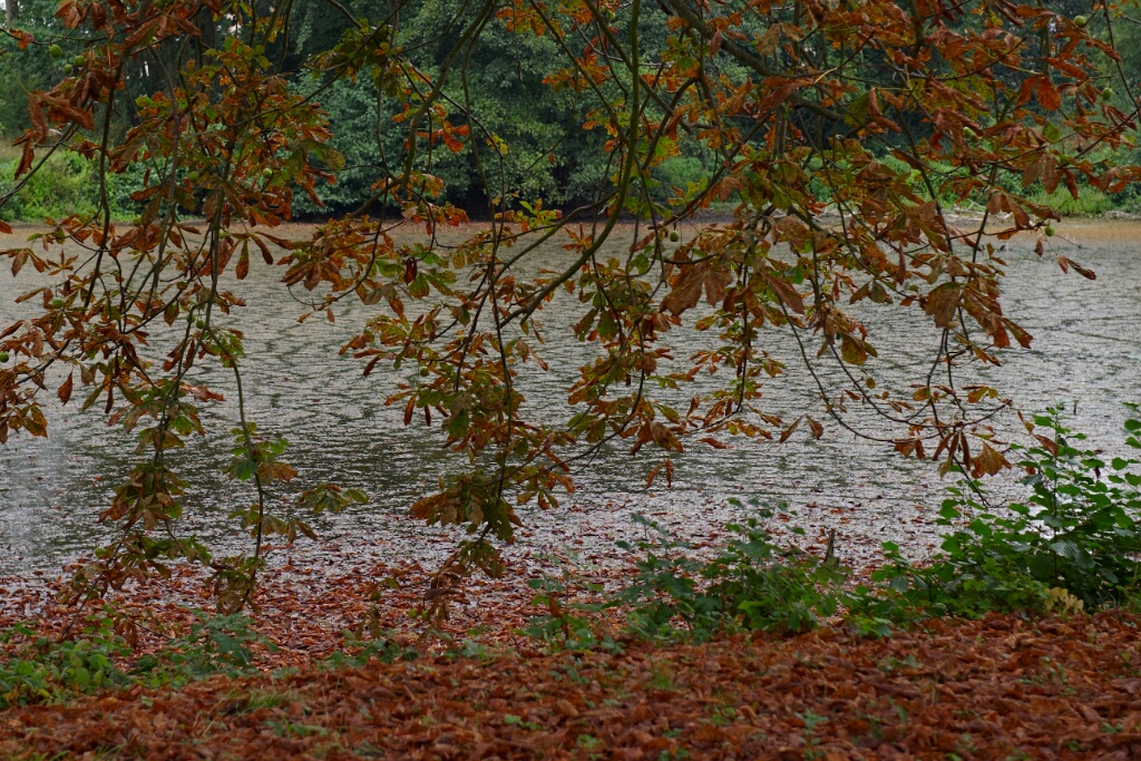 2010-09-08-115046