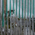 2010-10-14-142121-menucourt