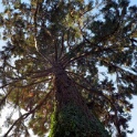 2010-10-14-154233-menucourt