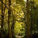 2010-10-31-140547-menucourt
