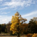 2010-10-31-140929-menucourt