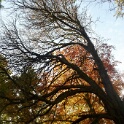2010-10-31-141900-menucourt