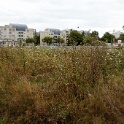 2010-08-04-153048