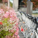 2012-02-22-174342-cergy-le-haut-OK