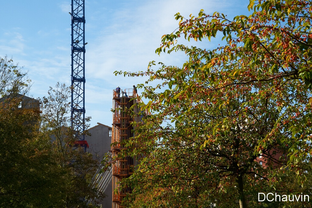 2010-10-18-104228