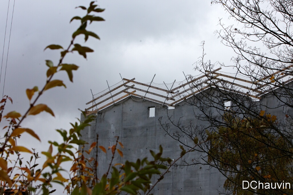 2010-11-10-131448