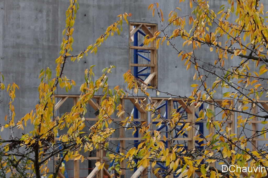 2010-11-10-132504