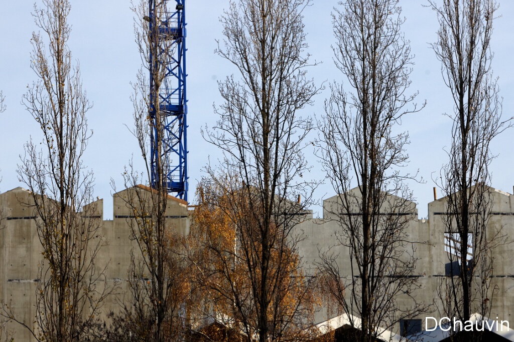 2010-11-24-112924 (1)
