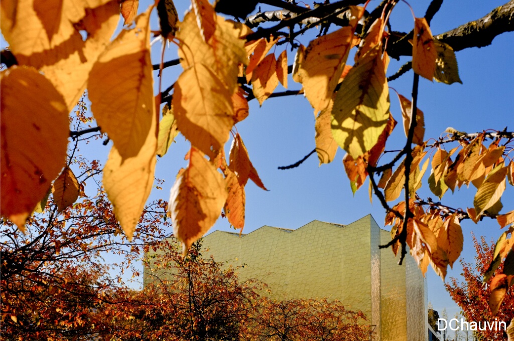 2011-10-31-120036-t95-OK