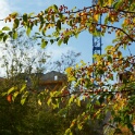 2010-10-18-105517
