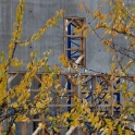 2010-11-10-132504