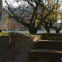 2010-11-16-120922