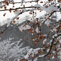 2010-12-20-115936-t95-OK