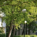2011-05-03-095416-touleuses-OK