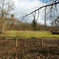 2011-p2c-Input