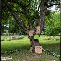 2013-06-26-140047-unair-OK