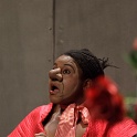 2012-01-22-163812-tusine-reve-OK